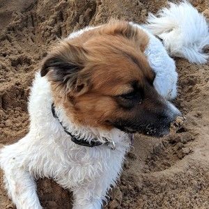 Meet your Posher, Peggy